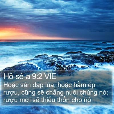 Hô-sê-a 9:2 VIE Bible Verse Image