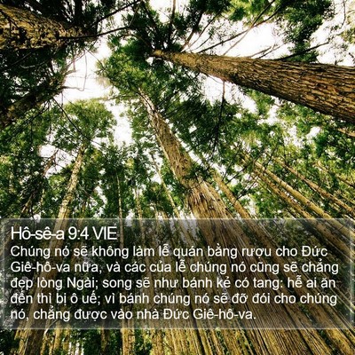Hô-sê-a 9:4 VIE Bible Verse Image