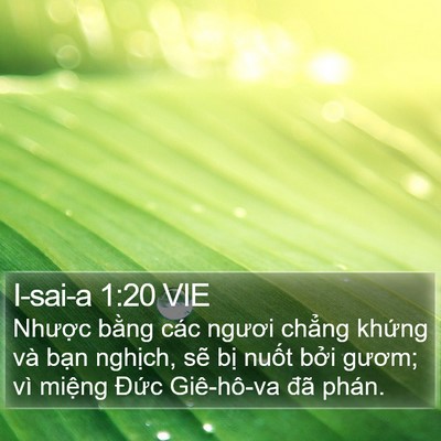 I-sai-a 1:20 VIE Bible Verse Image