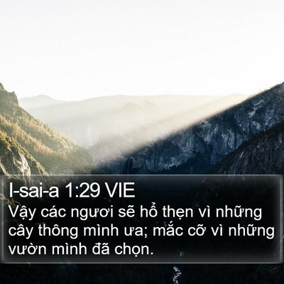 I-sai-a 1:29 VIE Bible Verse Image