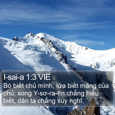 I-sai-a 1:3 VIE Bible Verse Image