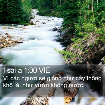 I-sai-a 1:30 VIE Bible Verse Image