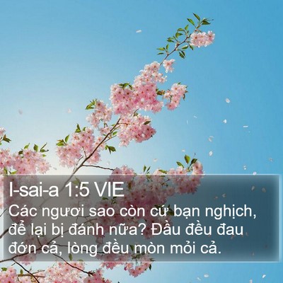 I-sai-a 1:5 VIE Bible Verse Image