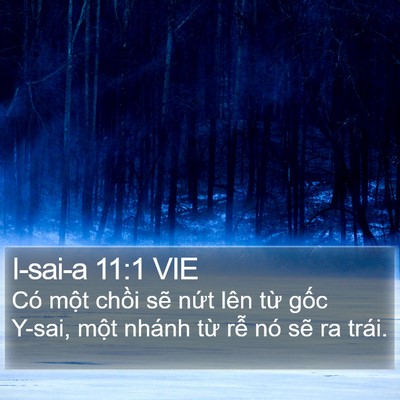 I-sai-a 11:1 VIE Bible Verse Image