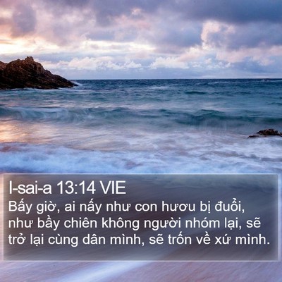 I-sai-a 13:14 VIE Bible Verse Image