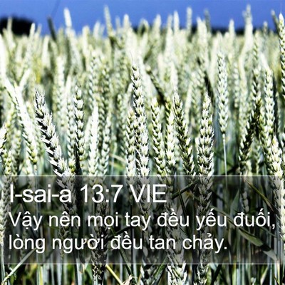 I-sai-a 13:7 VIE Bible Verse Image