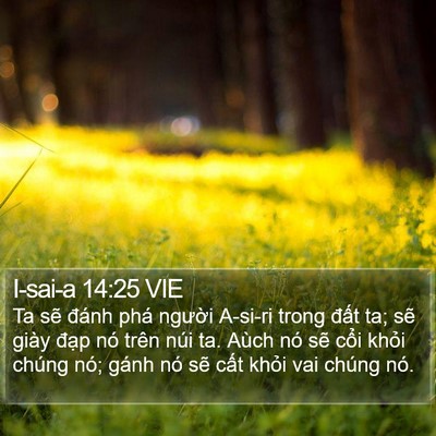 I-sai-a 14:25 VIE Bible Verse Image