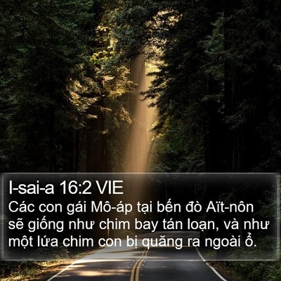 I-sai-a 16:2 VIE Bible Verse Image