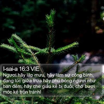 I-sai-a 16:3 VIE Bible Verse Image