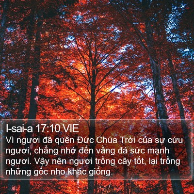 I-sai-a 17:10 VIE Bible Verse Image