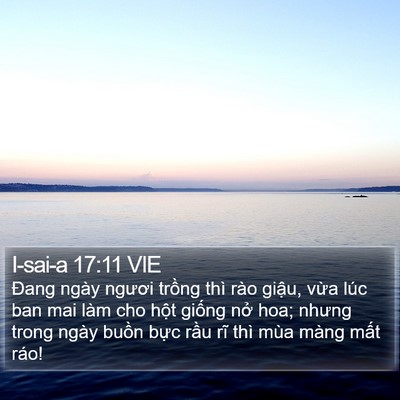 I-sai-a 17:11 VIE Bible Verse Image