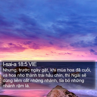 I-sai-a 18:5 VIE Bible Verse Image