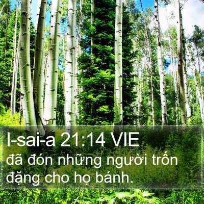 I-sai-a 21:14 VIE Bible Verse Image