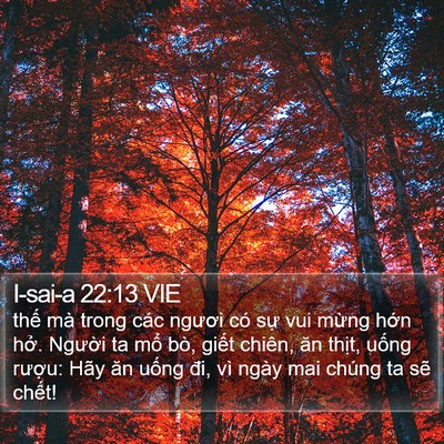I-sai-a 22:13 VIE Bible Verse Image