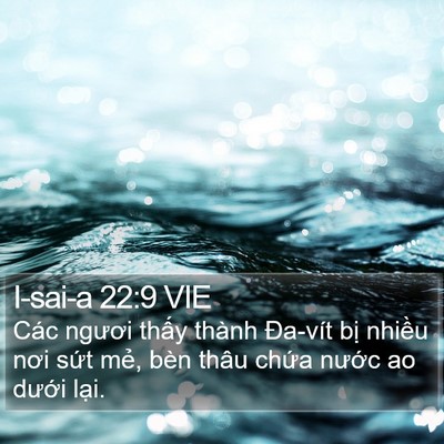 I-sai-a 22:9 VIE Bible Verse Image