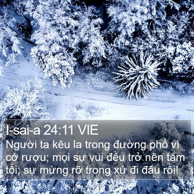 I-sai-a 24:11 VIE Bible Verse Image