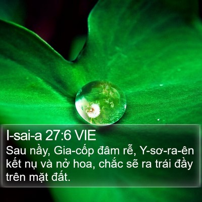 I-sai-a 27:6 VIE Bible Verse Image