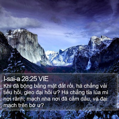 I-sai-a 28:25 VIE Bible Verse Image