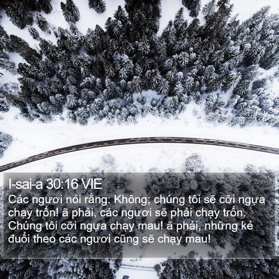 I-sai-a 30:16 VIE Bible Verse Image