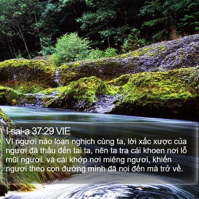 I-sai-a 37:29 VIE Bible Verse Image
