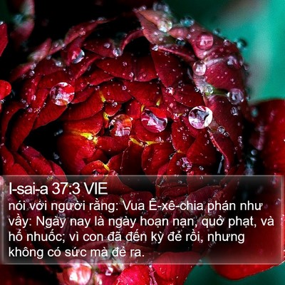 I-sai-a 37:3 VIE Bible Verse Image