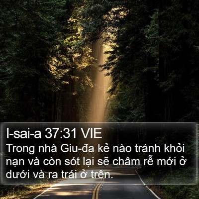 I-sai-a 37:31 VIE Bible Verse Image