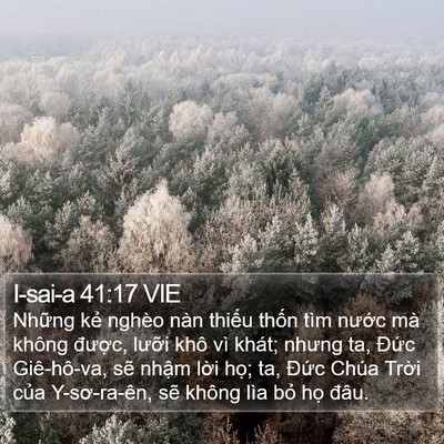 I-sai-a 41:17 VIE Bible Verse Image