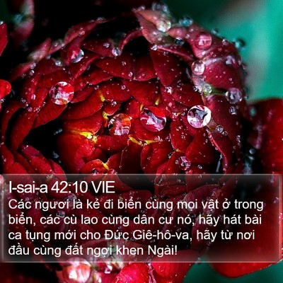 I-sai-a 42:10 VIE Bible Verse Image