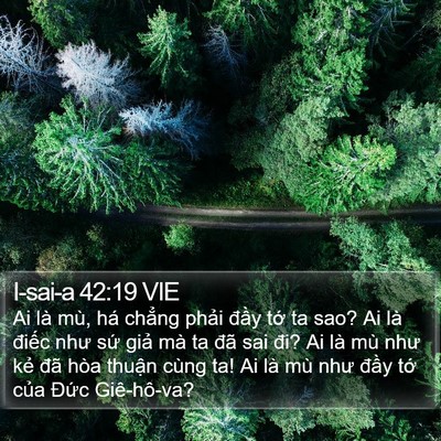 I-sai-a 42:19 VIE Bible Verse Image