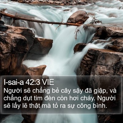 I-sai-a 42:3 VIE Bible Verse Image