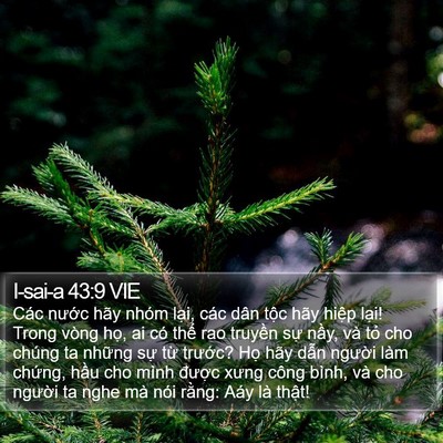 I-sai-a 43:9 VIE Bible Verse Image