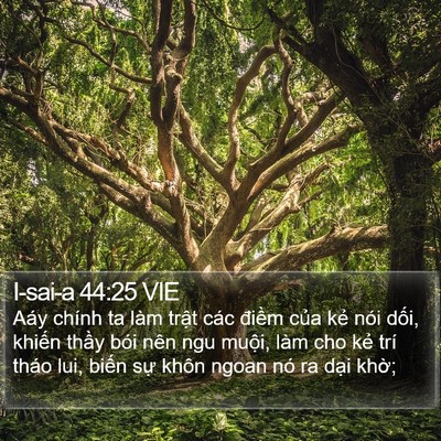 I-sai-a 44:25 VIE Bible Verse Image