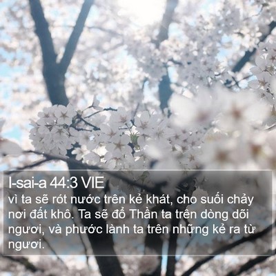 I-sai-a 44:3 VIE Bible Verse Image