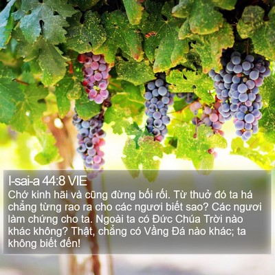 I-sai-a 44:8 VIE Bible Verse Image