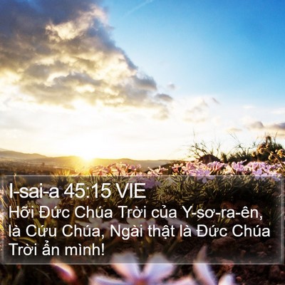 I-sai-a 45:15 VIE Bible Verse Image