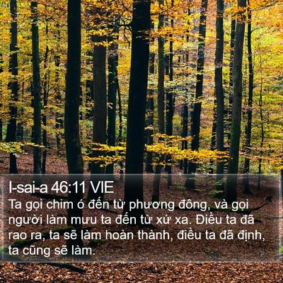 I-sai-a 46:11 VIE Bible Verse Image