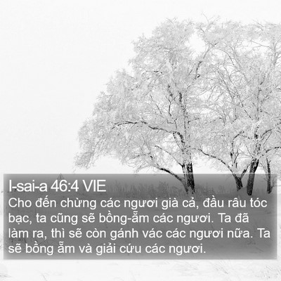 I-sai-a 46:4 VIE Bible Verse Image