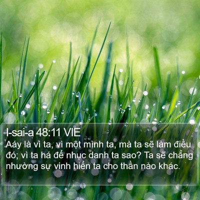 I-sai-a 48:11 VIE Bible Verse Image