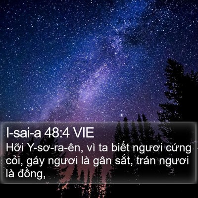I-sai-a 48:4 VIE Bible Verse Image
