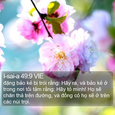 I-sai-a 49:9 VIE Bible Verse Image