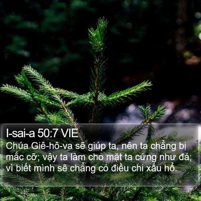 I-sai-a 50:7 VIE Bible Verse Image