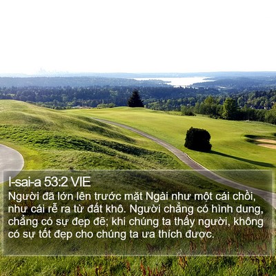 I-sai-a 53:2 VIE Bible Verse Image