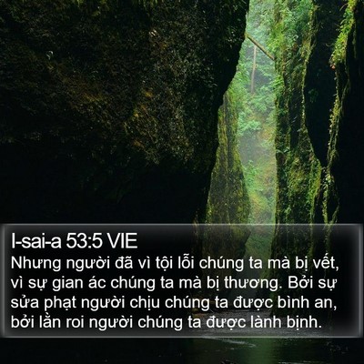I-sai-a 53:5 VIE Bible Verse Image