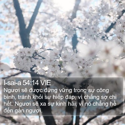 I-sai-a 54:14 VIE Bible Verse Image