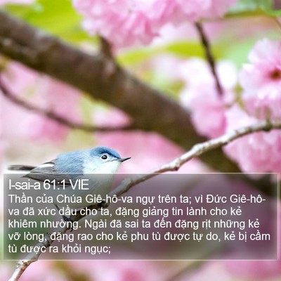 I-sai-a 61:1 VIE Bible Verse Image
