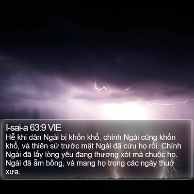 I-sai-a 63:9 VIE Bible Verse Image