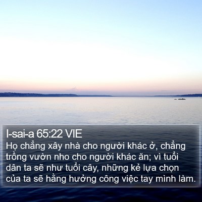I-sai-a 65:22 VIE Bible Verse Image