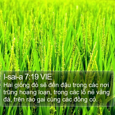I-sai-a 7:19 VIE Bible Verse Image