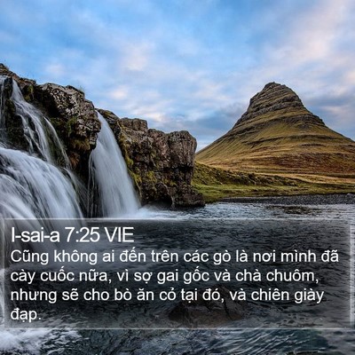 I-sai-a 7:25 VIE Bible Verse Image