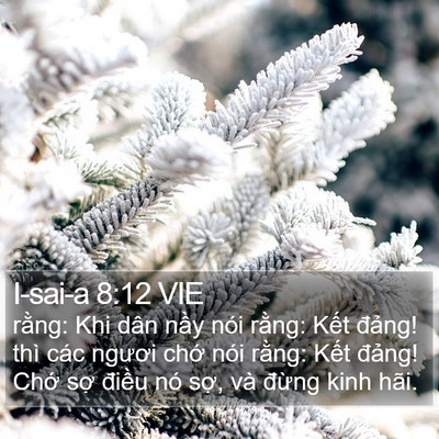 I-sai-a 8:12 VIE Bible Verse Image